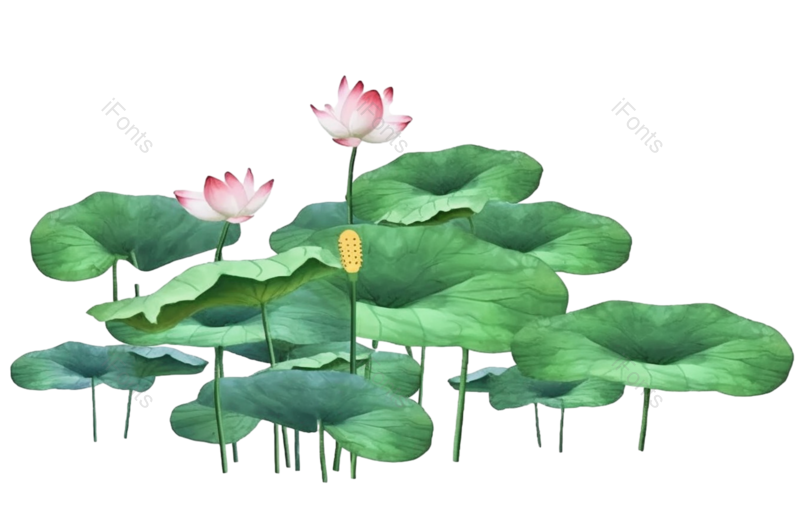 元素图片,卡通元素,清新PNG,荷花免抠素材